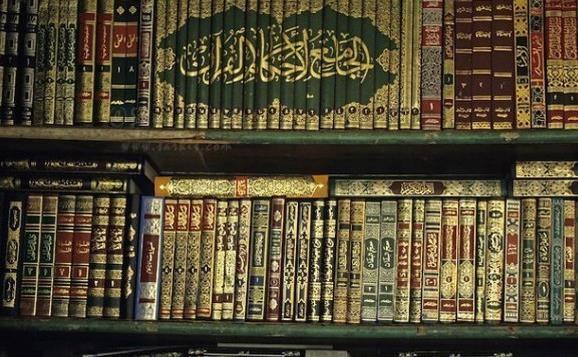 ابن الاُخُوّة و توجه ویژه به فقه عملی