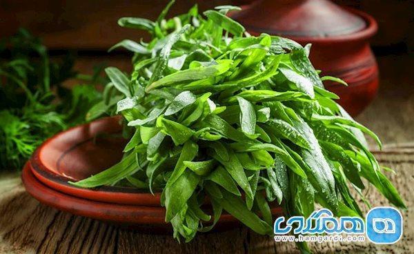 گرم مزاج ترین سبزی ها را بشناسید