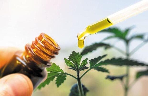 رویداد استارت آپی فرآورده های گیاهی و طبیعی برگزار می گردد