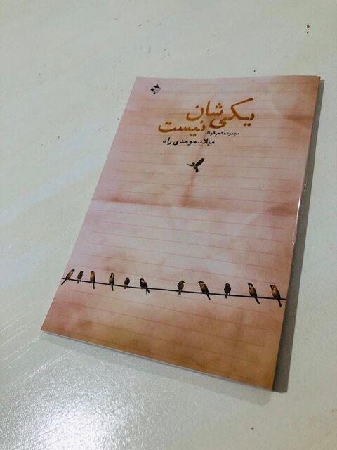 میلاد موحدی راد یکی شان نیست را منتشر کرد