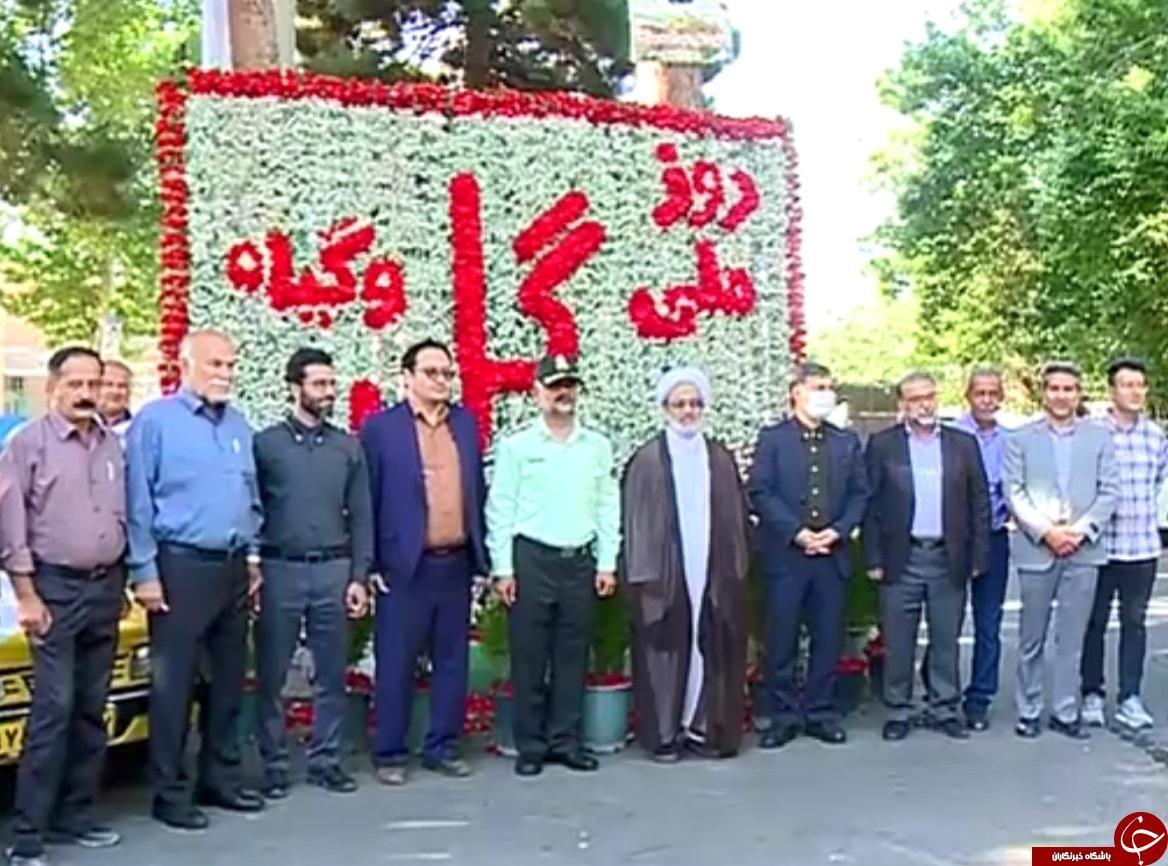 نصب تابلو فرش گل 20 هزار شاخه ای در پایتخت گل ایران