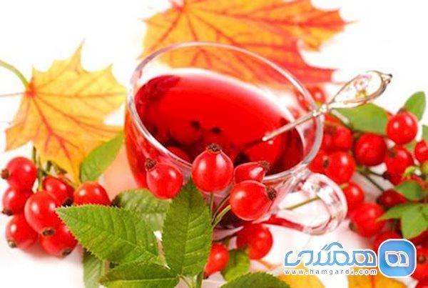 خواص شگفت انگیز گل نسترن؛ از تقویت مو تا درمان سنگ کلیه
