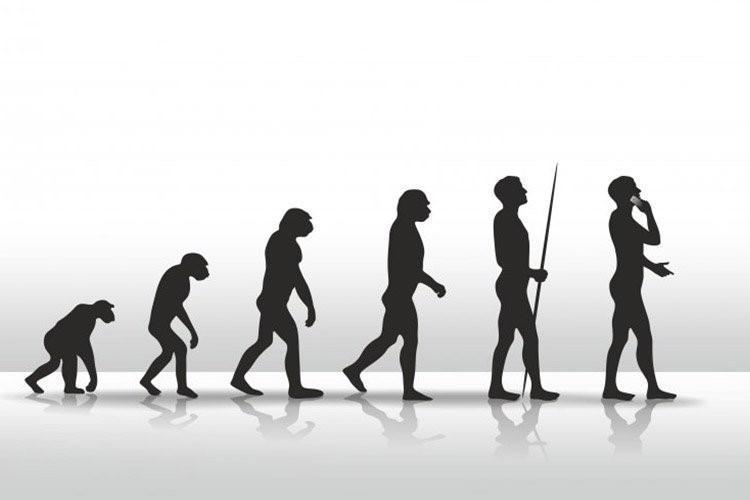 تکامل به زبان ساده؛ نظریه تکامل داروین چه می گوید؟