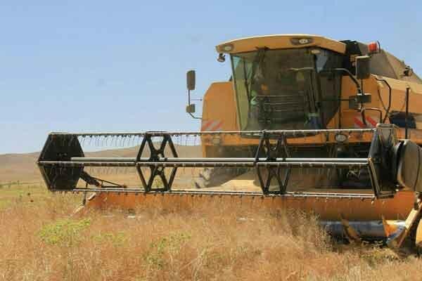 ورود 100 دستگاه کمباین مهاجر برای برداشت کلزا