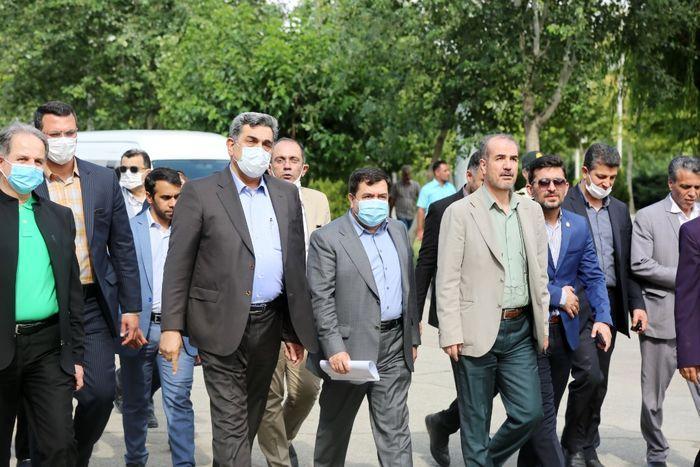 بررسی شرایط آشیانه های پرواز بوستان ولایت