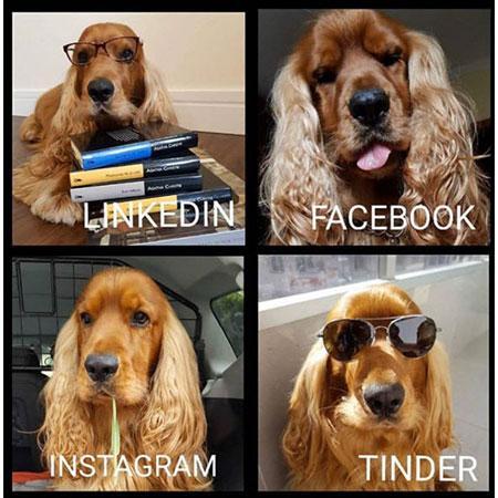 چالش جدید اینستاگرام: عکس موزاییکی از نحوه فعالیت تان در شبکه های اجتماعی