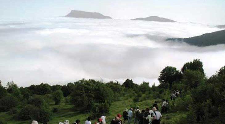 حال و روز جنگل ابر شاهرود، تصاویر