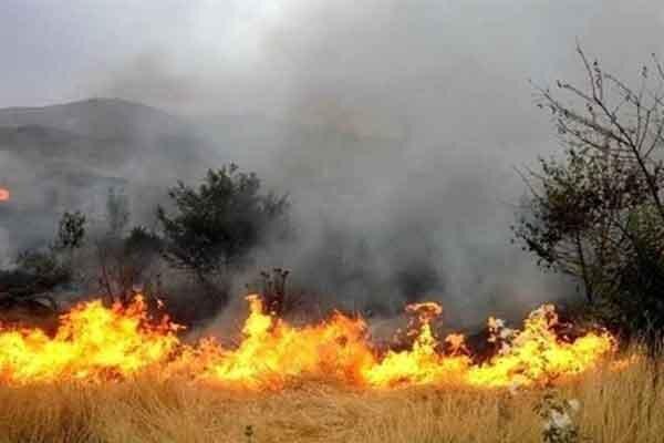 مرگ 3 نفر در جریان اطفای آتش بوزین و مره خیل