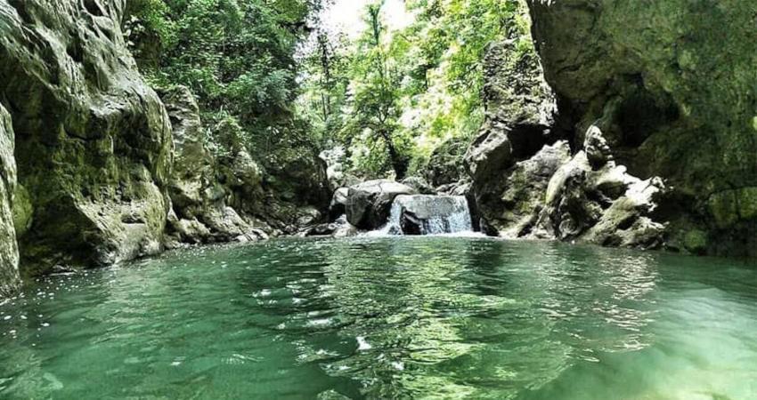 معرفی تنگ دار نوشهر