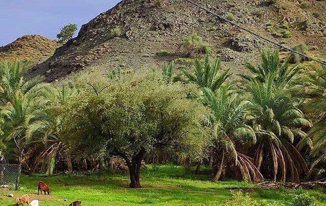 روستای کوهشاه ریگان نگینی در دل کویر