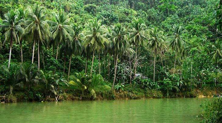 جزیره بوهول و تپه هایی از جنس شکلات، تصاویر