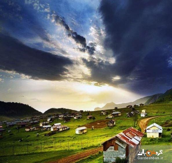 جنگل دنیا نما کجاست؟