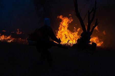 آتش در جنگل های منطقه کوسالان سروآباد همچنان زبانه می کشد