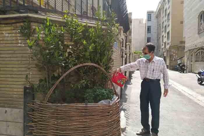 اهالی کوچه مقدسی گـل کاشتند! اهالی کوچه مقدسی گـل کاشتند!