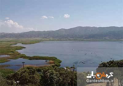 سفر تابستانی به رودخانه سیروان؛طولانی ترین رودخانه کردستان، عکس