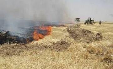 آتش زدن بقایای محصولات کشاورزی جرم محسوب می گردد