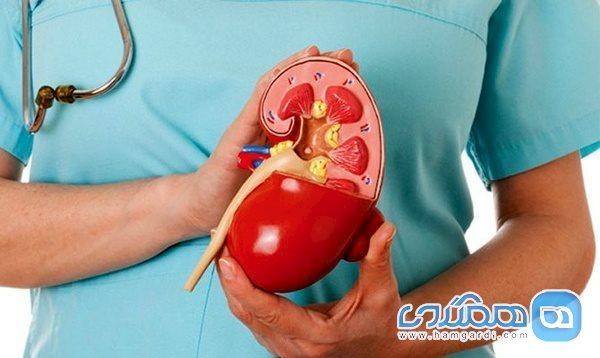 کلیه کدام افراد بیشتر آسیب پذیر است؟