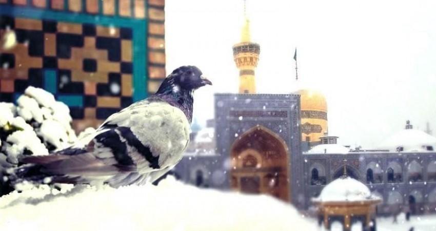 تور مشهد و شگفتی هایی که منتظر شماست