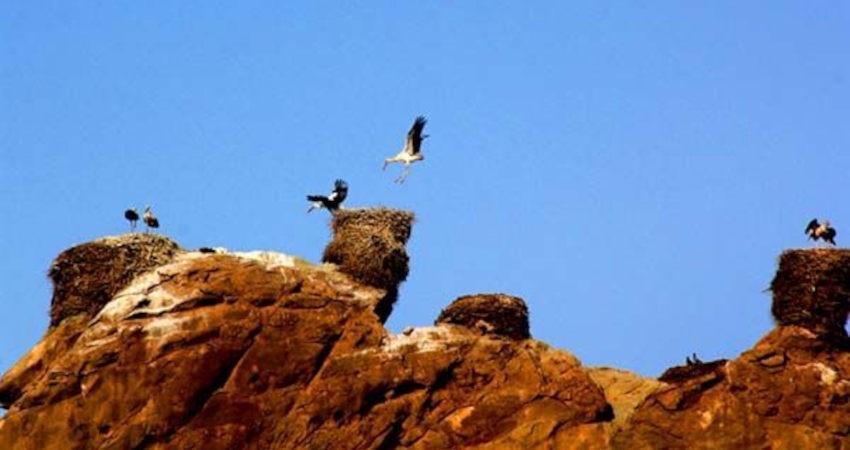 قلعه لک لک ها جاذبه منحصر به فرد شهرستان ماهنشان