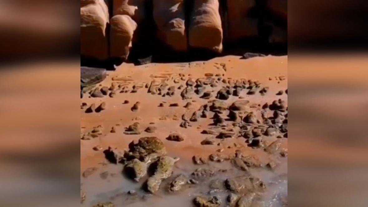 ساحلی بسیار زیبا و دیدنی در بندر لنگه