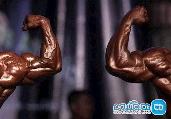 هر آنچه باید درباره تغذیه و مکمل های ورزشی بدانید هر آنچه باید درباره تغذیه و مکمل های ورزشی بدانید