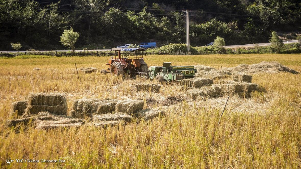 85 درصد مزارع کشور مکانیزه کشت می شوند