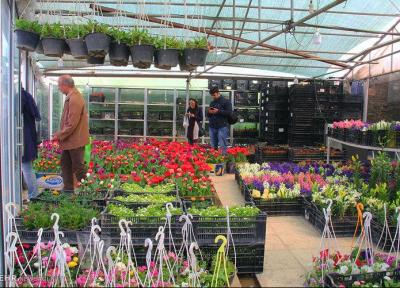 آیا وایتکس و یخ عمر گل را بیشتر می نماید؟