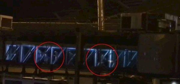 آشنایی با عجیب ترین اتفاقاتی که در فرودگاه ها اتفاق افتاده اند