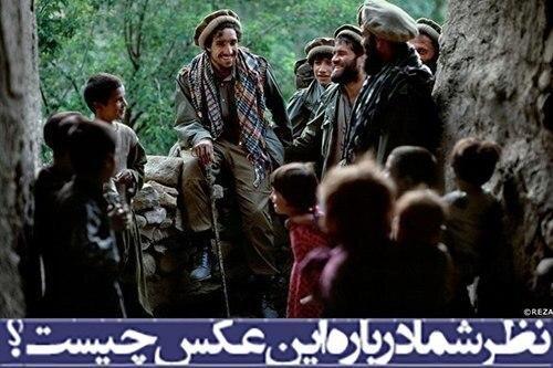 نظر شما درباره عکس چیست؟، شاه مسعود، شیر پنجشیر