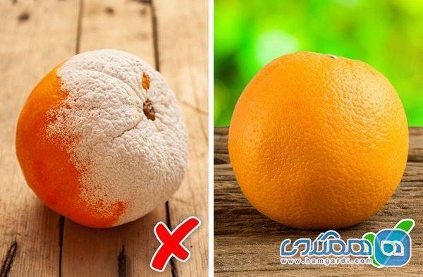 اگر اشتباهی غذای کپک زده بخوریم چه اتفاقی می افتد؟