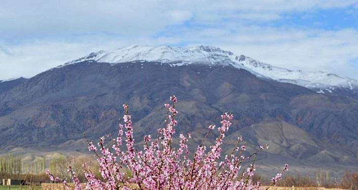 ثبت شاهوار در فهرست میراث ملی