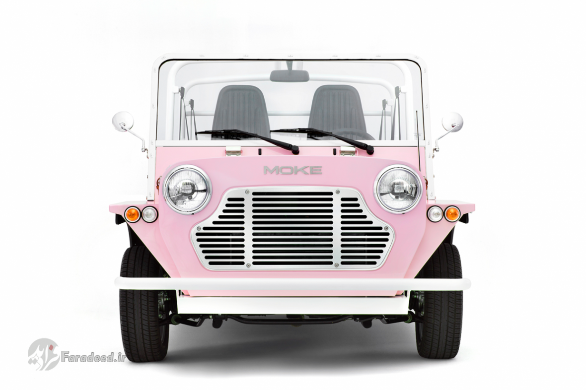 تولد دوبارهٔ مینی موک