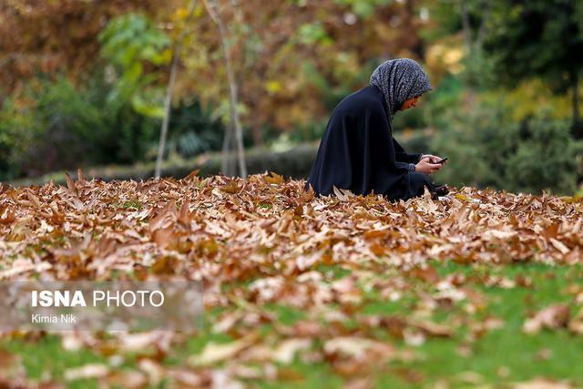 این دختران تنها...