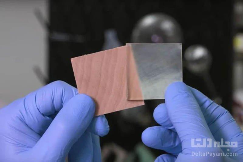 پنجره هایی از جنس چوب شفاف