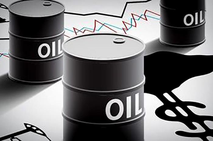 قیمت سبد نفتی اوپک 12 سنت افزایش یافت