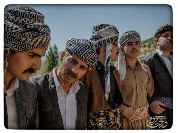 اکران درخت گردو در کرستان، 2 فیلم دیگر روی پرده می آیند