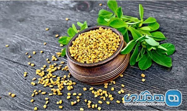 با خواص شنبلیله آشنا شویم