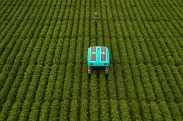 ارتقای صنعت کشاورزی با روبات هوشمند ارتقای صنعت کشاورزی با روبات هوشمند