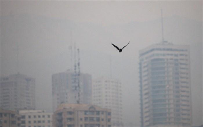 تداوم آلودگی هوا در شهرهای پرجمعیت