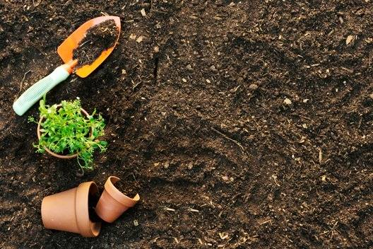 با زباله های آشپزخانه کود خانگی درست کنید