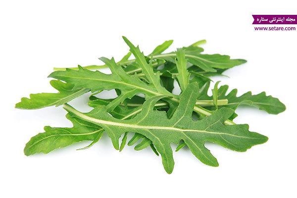 خواص درمانی گیاه منداب چیست؟