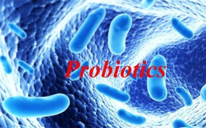 روش های افزایش ایمنی در برابر بیماری ها با استفاده از پروبیوتیک ها
