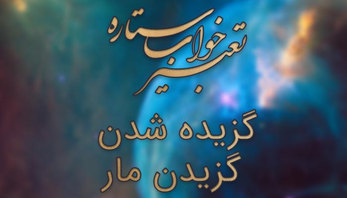 تعبیر خواب گزیده شدن - گزیدن مار در خواب چه مفهومی دارد؟