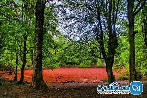 ابلاغ مراتب ثبت ملی 12 اثر طبیعی مازندران ابلاغ مراتب ثبت ملی 12 اثر طبیعی مازندران