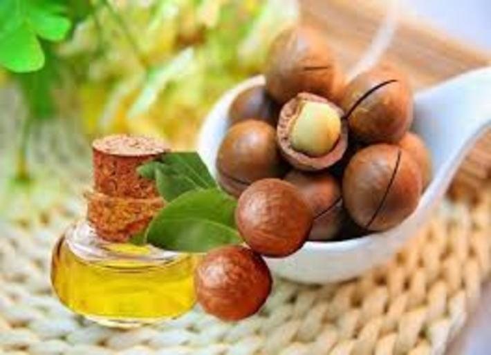 خواص شگفت انگیز روغن ماکادمیا خواص شگفت انگیز روغن ماکادمیا