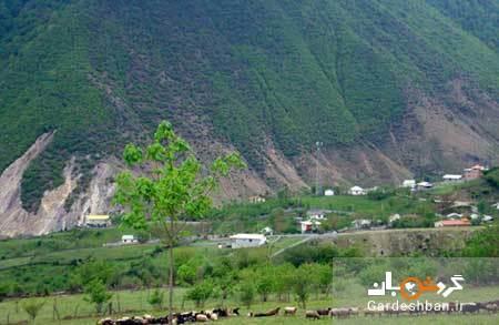 سفری به یادماندنی به جنگل و آبگرم لاویج