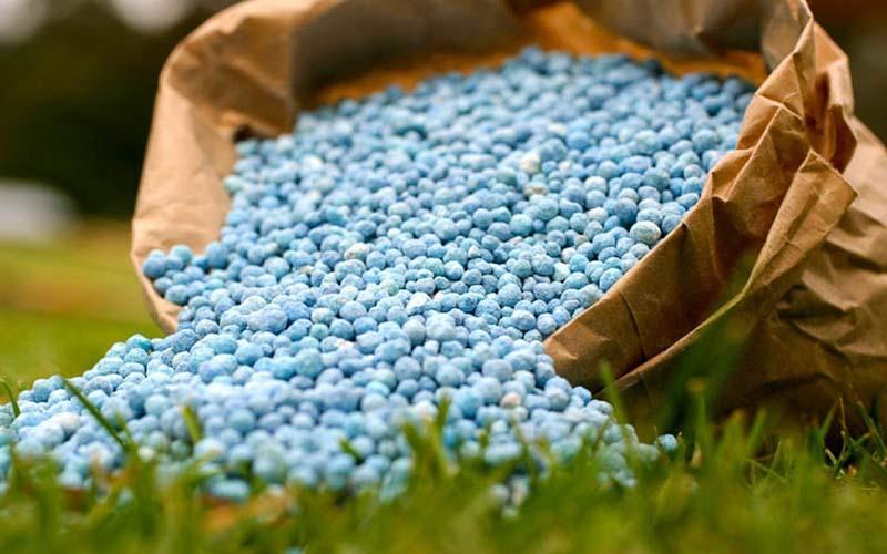 قیمت کود اوره هم افزایش یافت