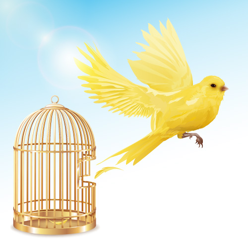 داستان ضرب المثل مرغ از قفس پرید