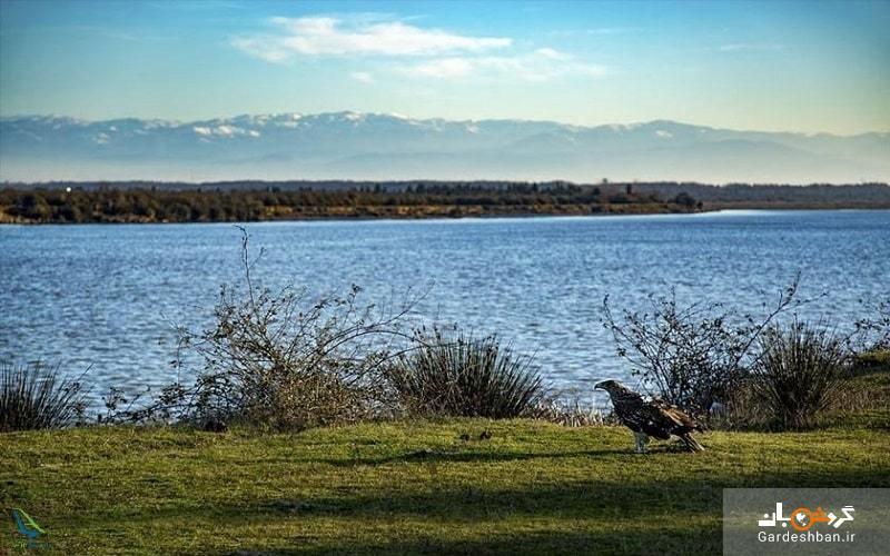 پارک ملی بوجاق؛ منطقه گردشگری زیبا در شمال کشور، عکس پارک ملی بوجاق؛ منطقه گردشگری زیبا در شمال کشور، عکس