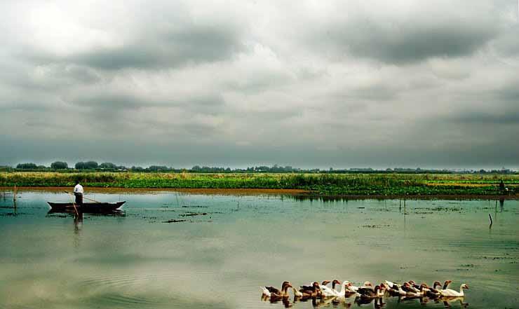 آشنایی با تالاب زیبای لنگور در مازندران